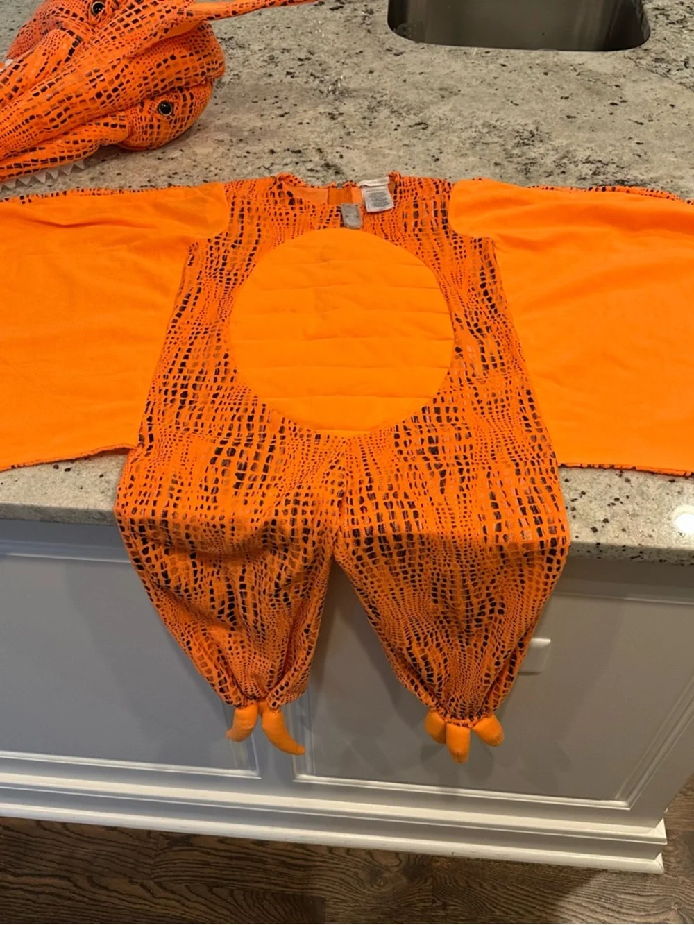 Pottery Barn Kids Light-Up Pterodactyl Costume Size 4/6 - Picture 3 of 5